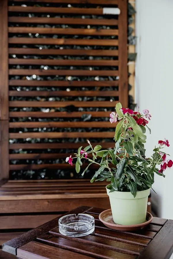 Bed & Breakfast Easy Florence B&B